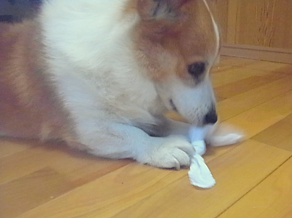 f0164499_00143690.jpg