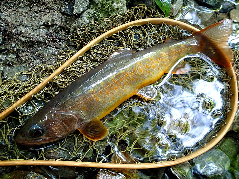c0339900_1012553.jpg