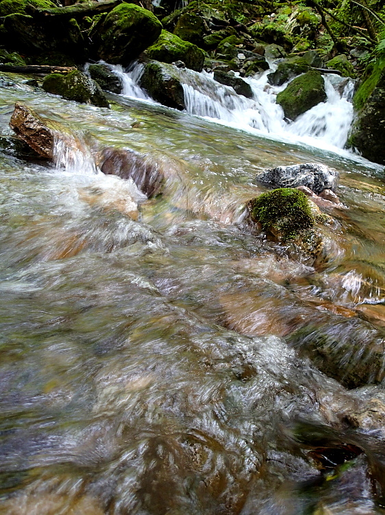 c0339900_9565642.jpg