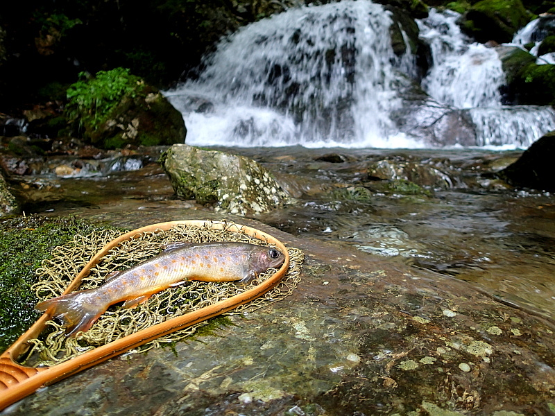 c0339900_958693.jpg