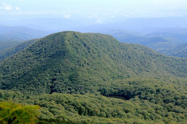 e0137200_20102084.jpg