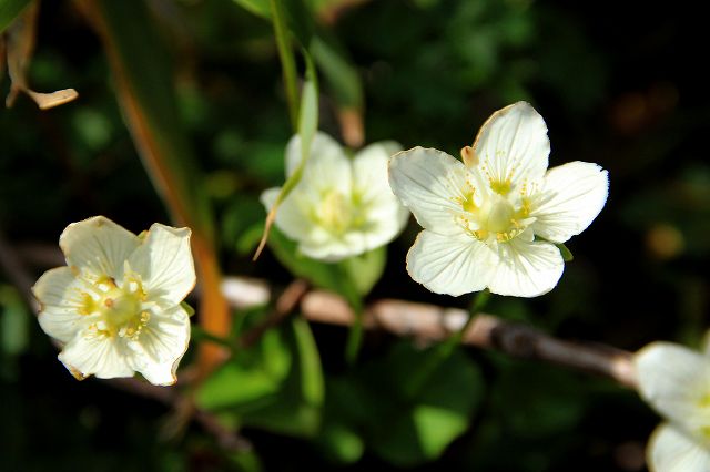 e0137200_20104010.jpg