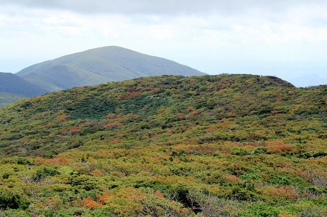e0137200_20113126.jpg