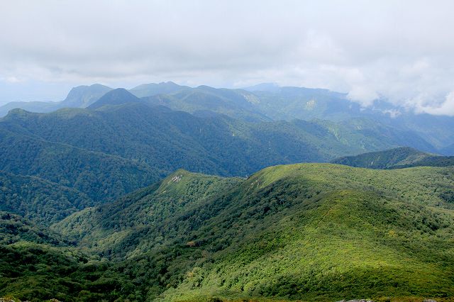e0137200_20115280.jpg