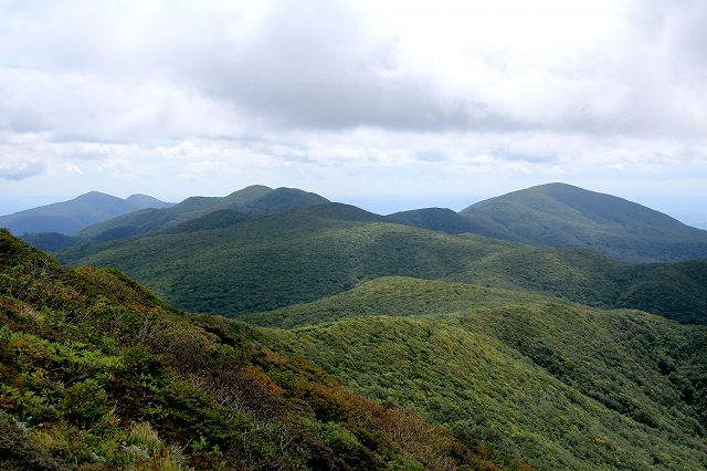 e0137200_20135514.jpg