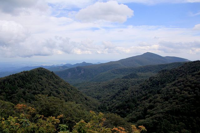 e0137200_20153935.jpg