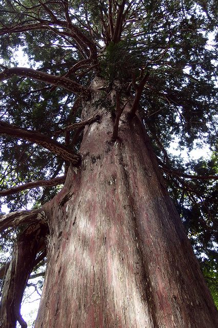 e0137200_20171315.jpg