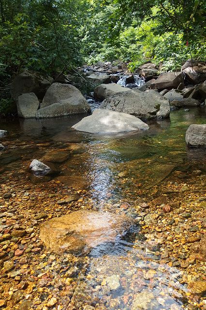 e0137200_2017458.jpg