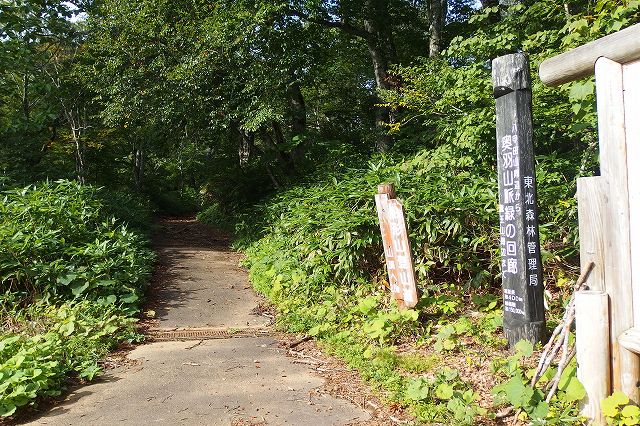 e0137200_2062819.jpg