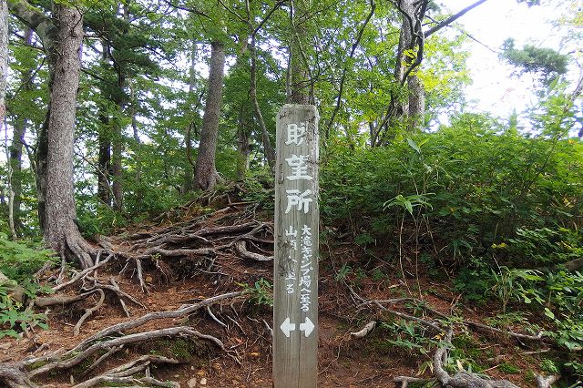 e0137200_2063846.jpg