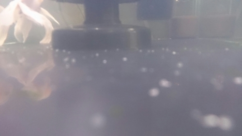 b0298605_08341310.jpg