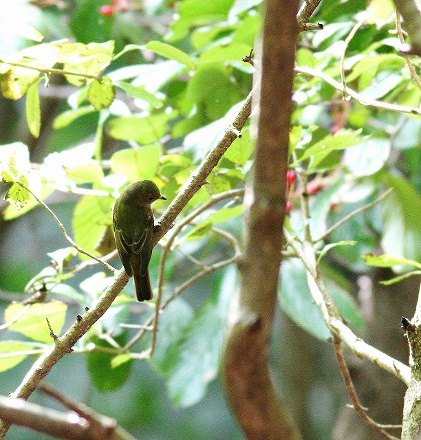 c0213607_15503743.jpg