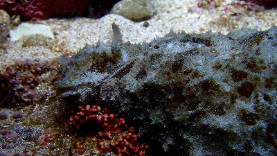 b0062010_1838098.jpg