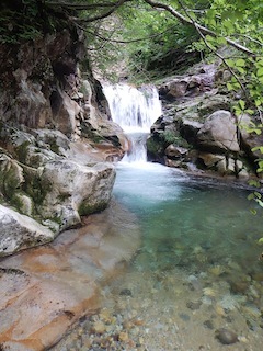c0359615_19165436.jpg