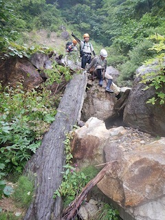 c0359615_19183590.jpg