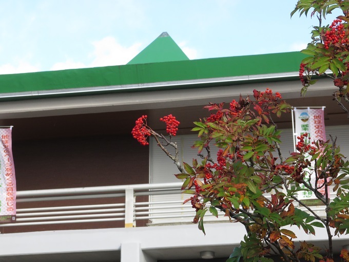 e0349817_22210510.jpg