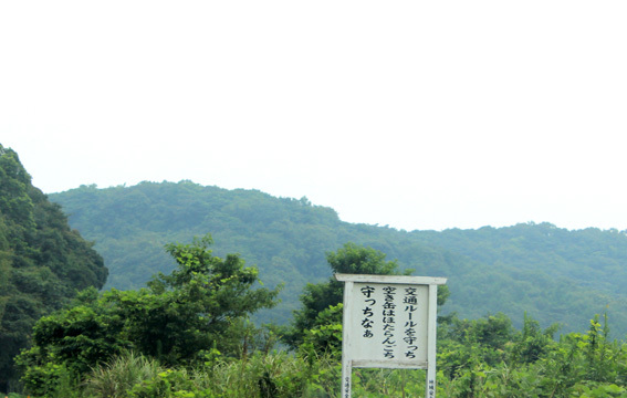 a0329820_21530757.jpg