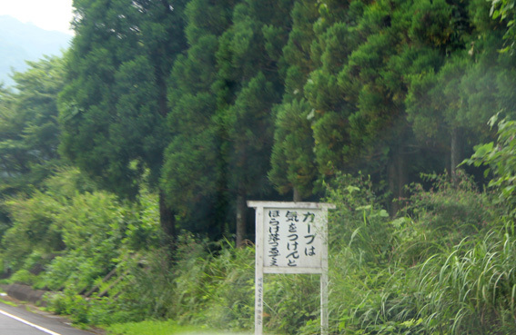 a0329820_21531488.jpg