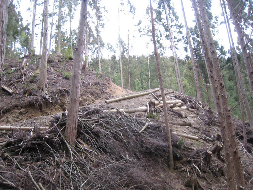 e0002820_21163605.jpg