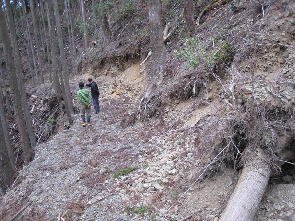 e0002820_21163608.jpg