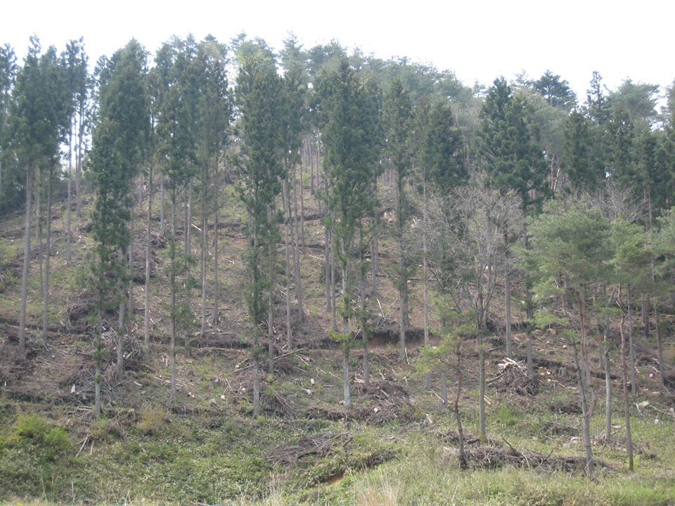 e0002820_21163617.jpg