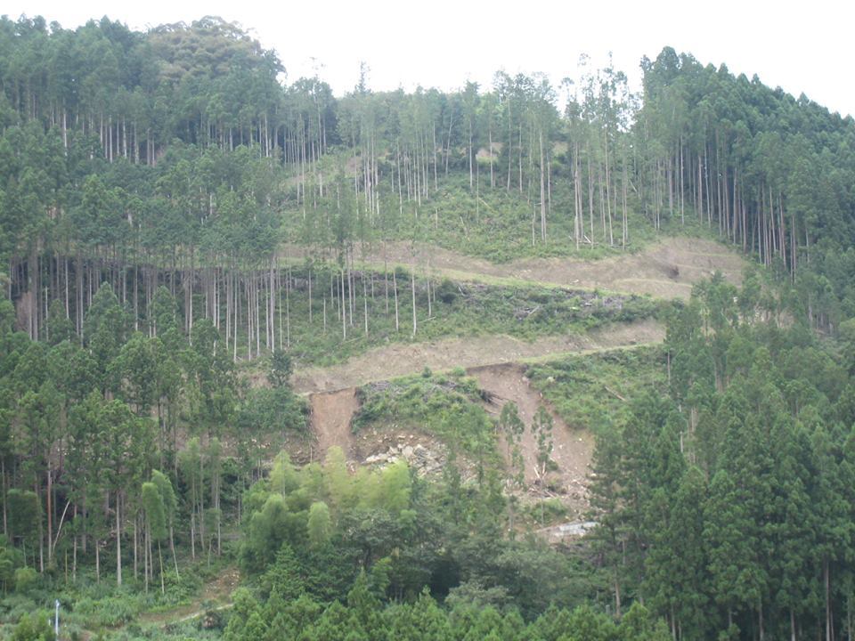e0002820_21163628.jpg
