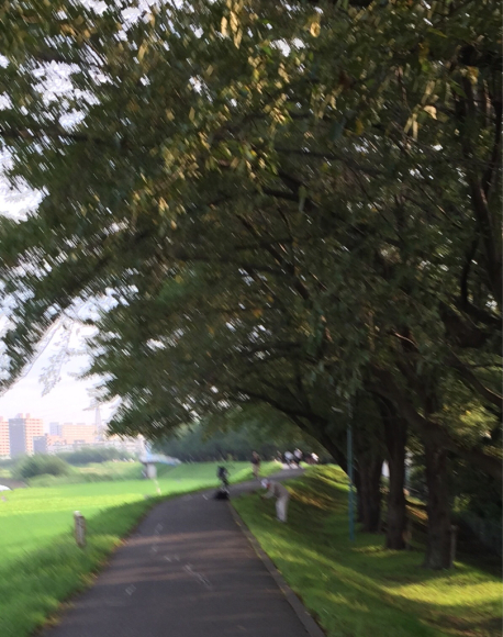 b0203925_08104890.jpg