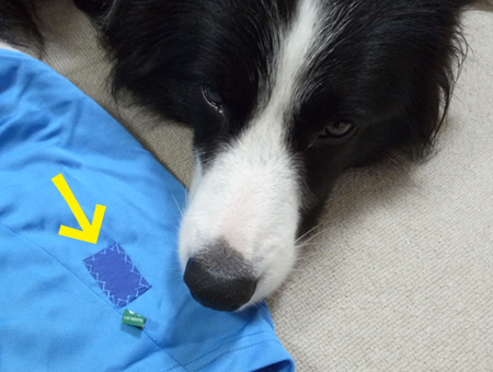 e0138031_11392015.jpg