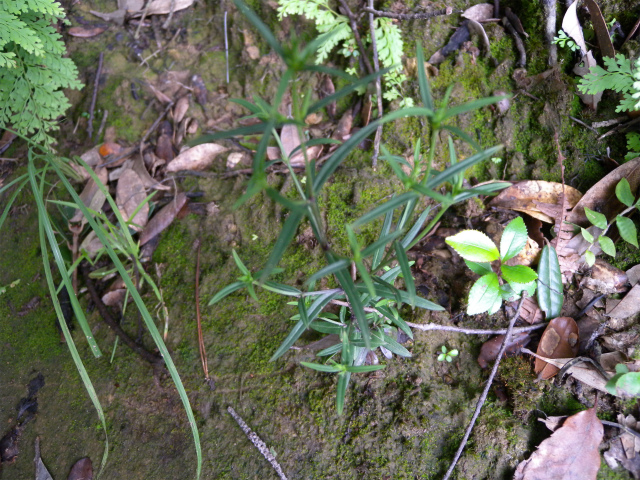 e0272335_16404974.jpg