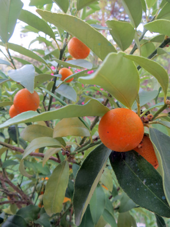 f0234936_6251875.jpg