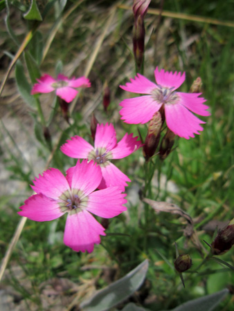 f0234936_626125.jpg