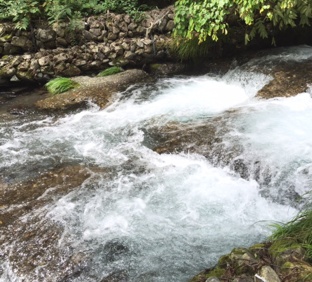 c0180142_11411894.jpg