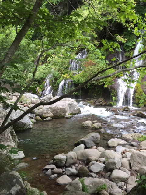 c0180142_11411944.jpg