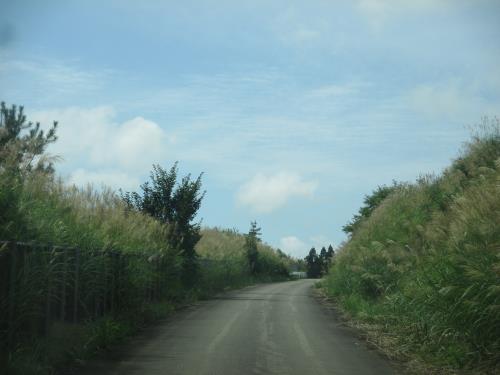 d0154344_19224443.jpg