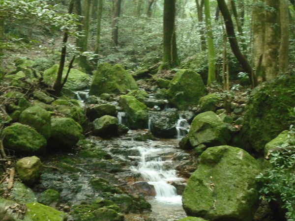 a0206345_55735100.jpg