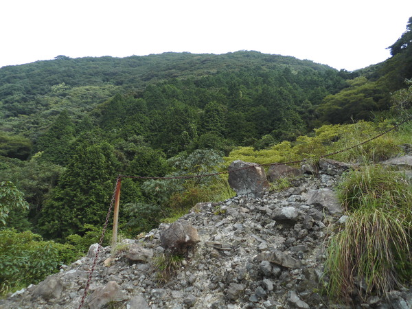 a0206345_6172476.jpg