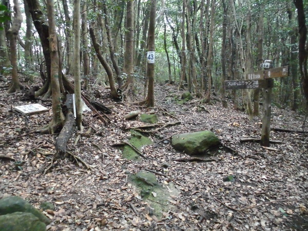 a0206345_6321984.jpg