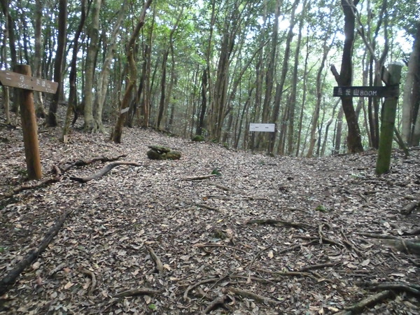a0206345_664347.jpg