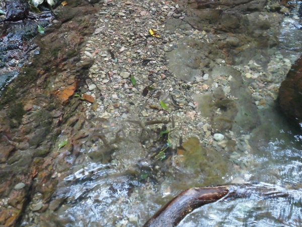 a0206345_792774.jpg