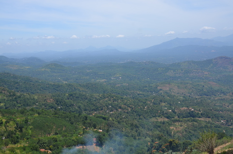 e0020945_17381780.jpg