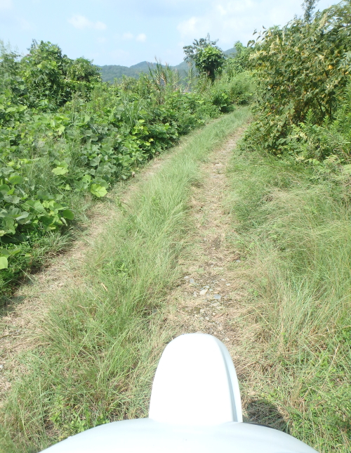 c0339546_1601491.jpg