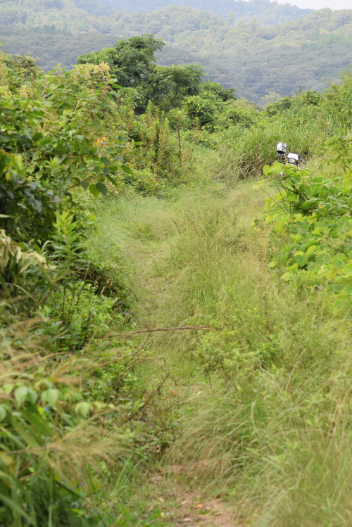 c0339546_16113816.jpg