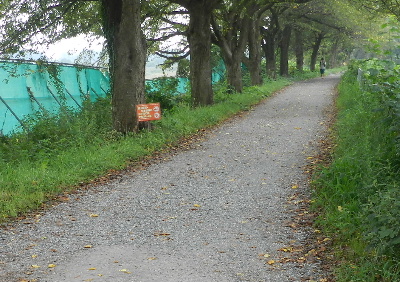 e0172950_17571553.jpg