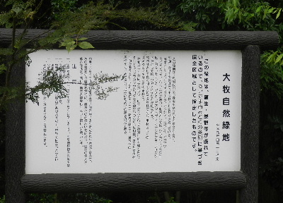 e0172950_17572740.jpg