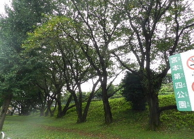 e0172950_1758366.jpg