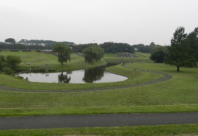 e0172950_17591428.jpg