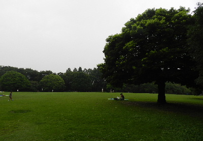 e0172950_1802147.jpg