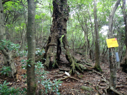 c0179351_1753244.jpg