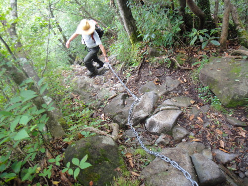 c0179351_17535810.jpg