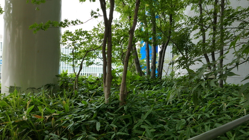 f0027355_2232613.jpg
